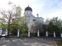 DSC08154.JPG