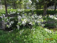 DSC08144.JPG