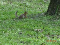 DSC08347.JPG
