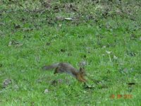 DSC08344.JPG