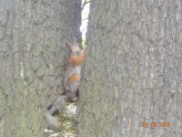 DSC08321.JPG