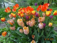 DSC08378.JPG