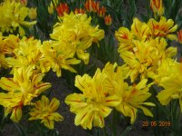 DSC08371.JPG