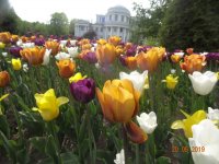 DSC08357.JPG