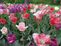DSC08326.JPG