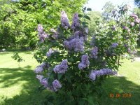 DSC08737.JPG