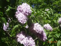 DSC08734.JPG
