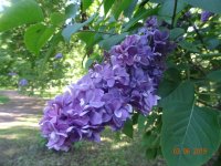 DSC08701.JPG