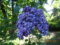 DSC08700.JPG