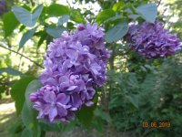 DSC08699.JPG