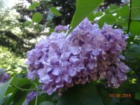 DSC08692.JPG