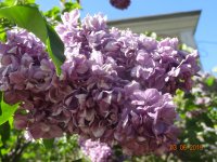 DSC08687.JPG