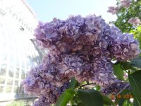 DSC08623.JPG