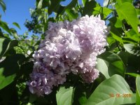 DSC08610.JPG