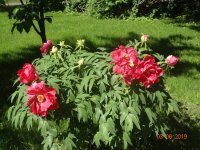 DSC08680.JPG
