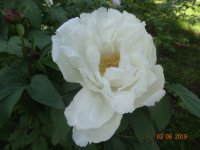 DSC08673.JPG