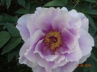 DSC08669.JPG