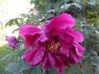 DSC08662.JPG