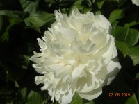 DSC08604.JPG