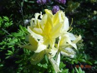 DSC08758.JPG