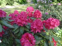 DSC08749.JPG