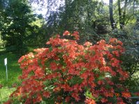 DSC08748.JPG