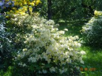 DSC08746.JPG