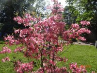DSC08719.JPG