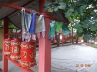 DSC08873.JPG