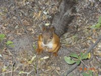 DSC08905.JPG