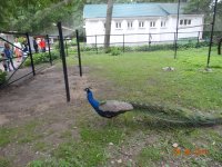 DSC08884.JPG