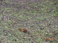 DSC08878.JPG