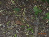 DSC08900.JPG