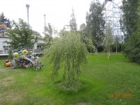 DSC08948.JPG