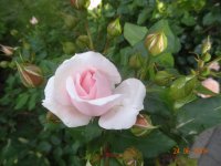 DSC08927.JPG