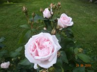 DSC08919.JPG