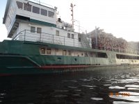 DSC08983.JPG