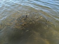 IMG_20190822_163201.jpg