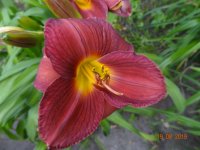 DSC09089.JPG