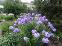 DSC09085.JPG