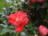 DSC09073.JPG