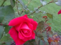 DSC09062.JPG
