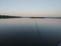 IMG_20190808_200645.jpeg