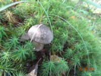 DSC09175.JPG