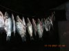 DSCN2132.JPG