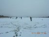 DSCN3020.JPG
