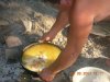 DSCN1716.JPG