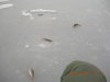 DSCN3073.JPG