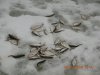 DSCN2535.JPG