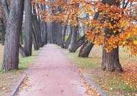 20181020_161459 (2).jpg